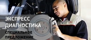 Экспресс диагностика